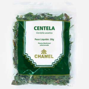 Centella asiatica - Planta Medicinal Chamel