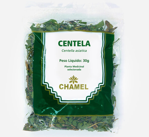 Centella asiatica - Planta Medicinal Chamel