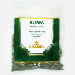 alfafa medicago sativa planta medicinal selecionada