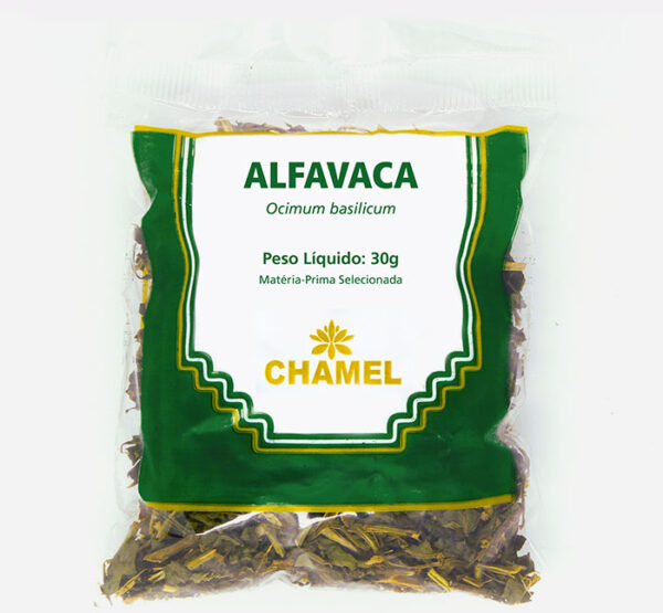 alfavaca ocimum basilicum cha