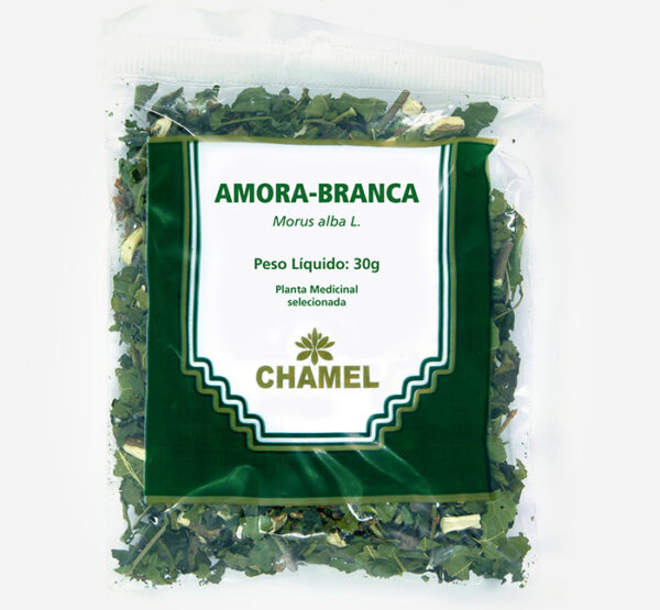 amora branca morus alba planta medicinal selecionada