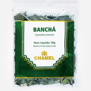 bancha cha camellia sinensis materia prima selecionada