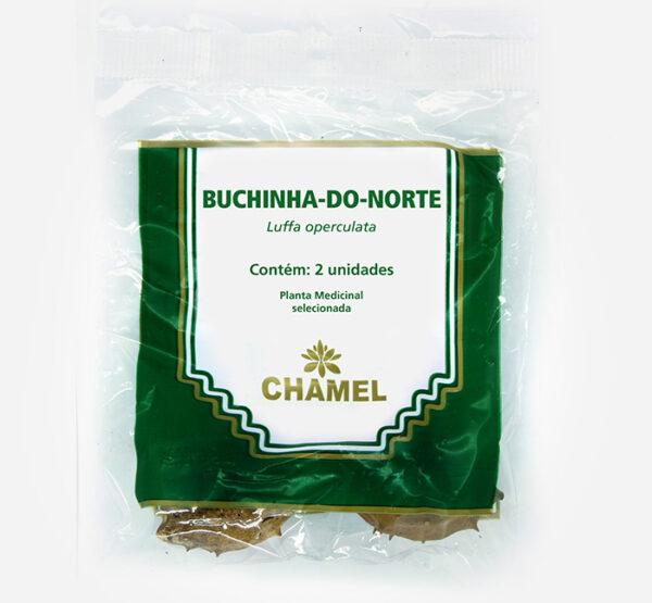 buchinha do norte luffa operculata planta medicinal selecionada
