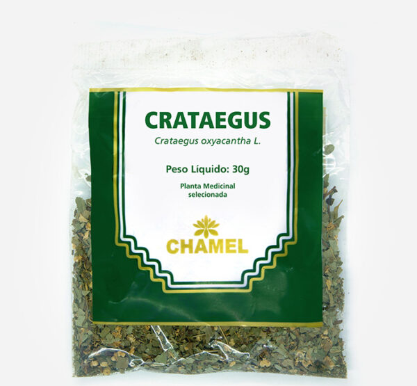 crataegus oxyacantha chamel planta medicinal selecionada