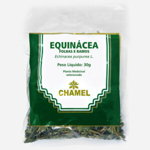 equinacea folhas e ramos echinacea purpurea planta medicinal chamel