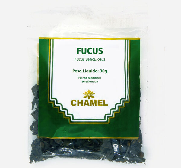 fucus vesiculosus planta medicinal chamel