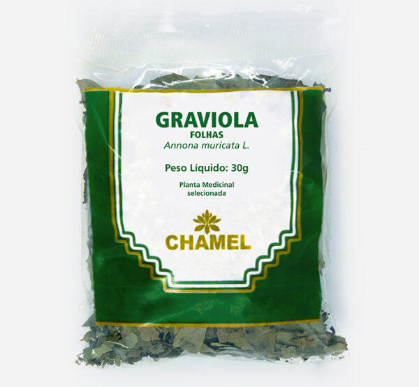 graviola folhas annona muricata planta medicinal chamel