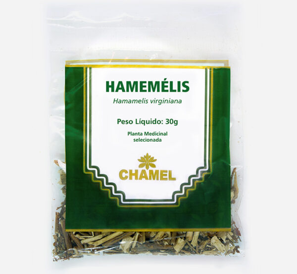 hamamelis virginiana planta medicinal chamel