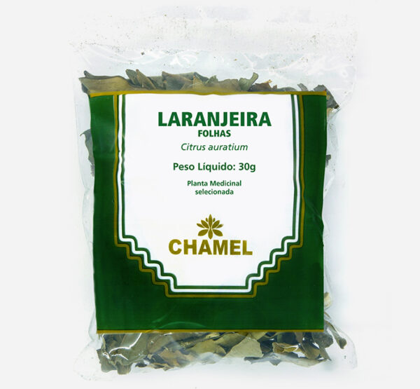 laranjeira folhas cha citrus auratium chamel