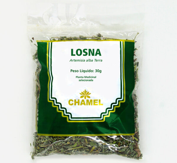 losna artemisia alba terra planta medicinal chamel