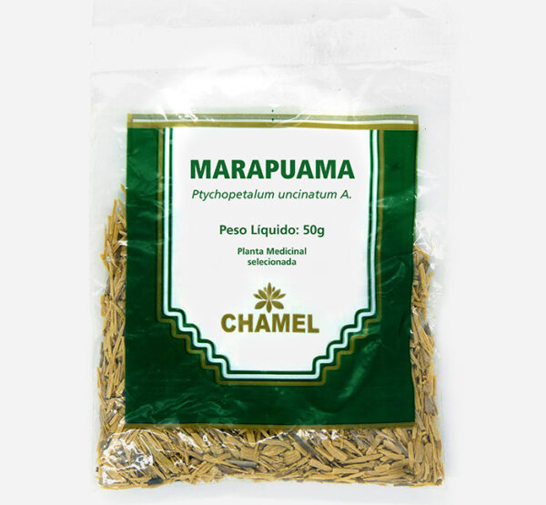 marapuama ptychopetalum uncinatum chamel planta medicinal selecionada