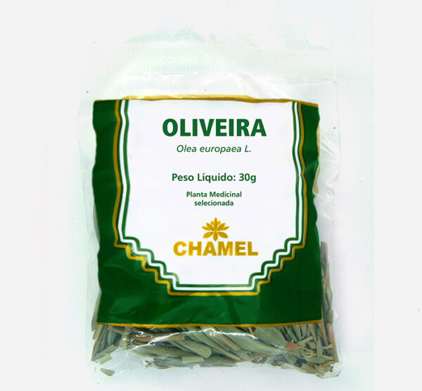 oleiveira folhas olea europaea chamel planta medicinal selecionada