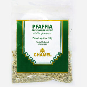 pfaffia ginseng brasileiro pfaffia glomerata chamel planta medicinal selecionada