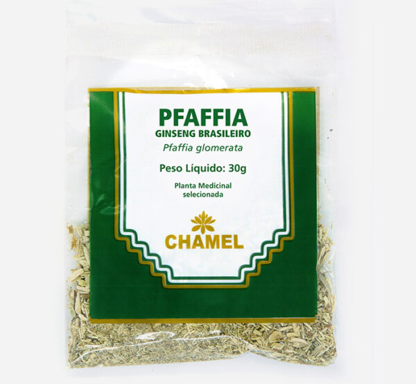 pfaffia ginseng brasileiro pfaffia glomerata chamel planta medicinal selecionada