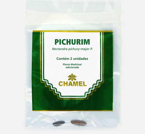 pichurim nectandra pichury major chamel planta medicinal selecionada