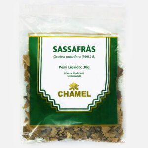 sassafras ocotea odorifera chamel planta medicinal selecionada