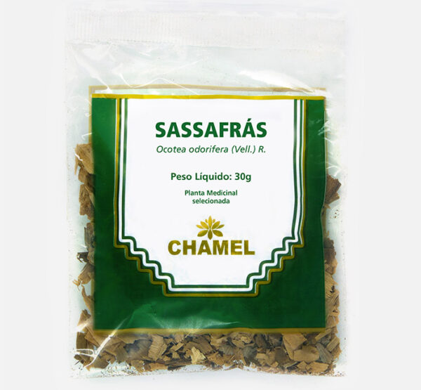 sassafras ocotea odorifera chamel planta medicinal selecionada