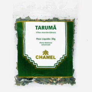 taruma vitex montevidensis chamel planta medicinal selecionada