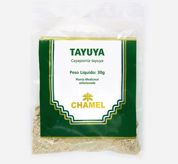tayuya cayaponia tayuya chamel-planta medicinal selecionada