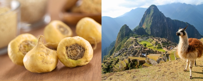 Maca Peruana Farinha em pó 100% Pura Chamel 150g